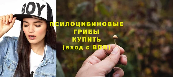 экстази Алексин