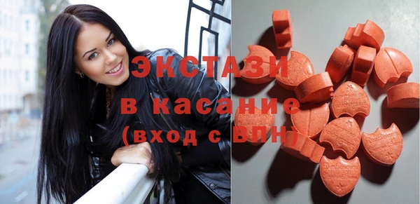 стаф Инта